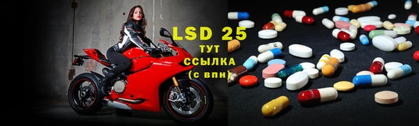 ешки Осинники