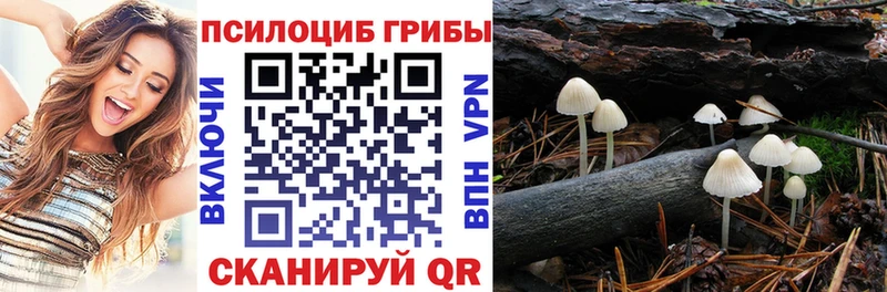 Псилоцибиновые грибы мицелий  магазин    Комсомольск 
