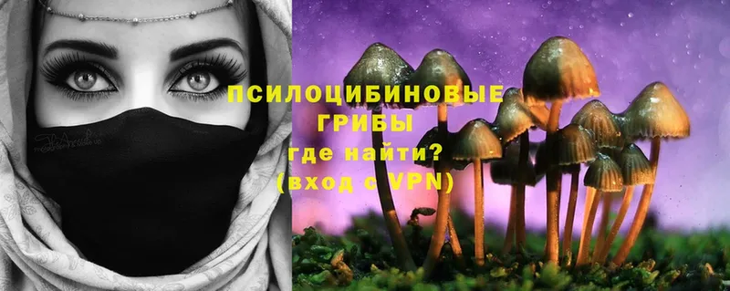 Псилоцибиновые грибы Cubensis  где купить наркоту  Комсомольск 